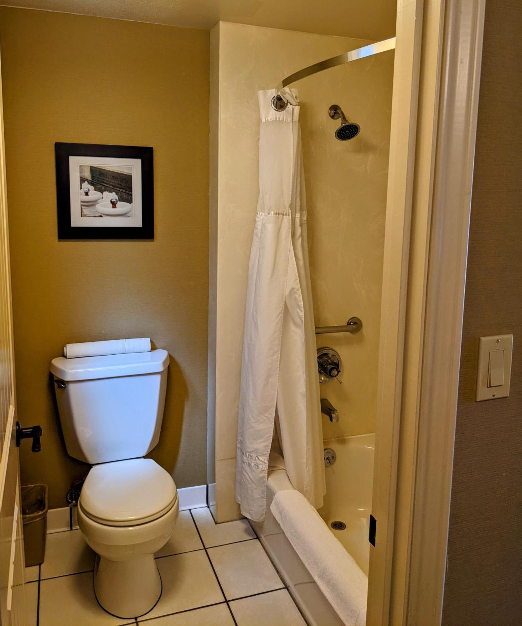 Queen Room with Two Queen Beds - Pet-friendly,1742875476:JPEG